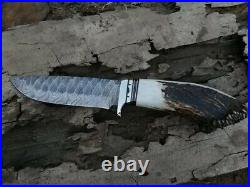 12New Handmade Damascus Steel Hunting knife With Brass Guard & Stag Horn Handle