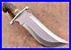 17Custom-Handmade-Carbon-Steel-Bowie-knife-With-Brass-Guard-Stag-Horn-Handle-01-dvyq