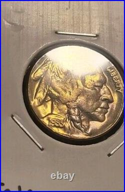 1935 D Buffalo nickel 5C with beautiful golden album toning FULL HORN