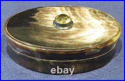 19c. Scottish Oval Snuff Box Horn With Citrine &silver Collar