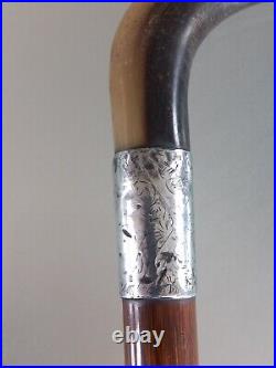 ANTIQUE RAMS HORN & H. M. Silver Collar 36 Walking Stick Birm 1913 Crook Handle