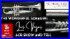 Acb-Show-U0026-Tell-Schagerl-Las-Vegas-Trumpet-From-Their-Intercontinental-Series-01-tisx