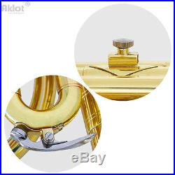 Aklot Intermediate Eb Alto Horn Gold Silver Plated Mouthpiece with Case