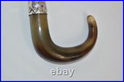 Antique 1921 London Hallmarked Silver Collar Ram Horn Walking Stick