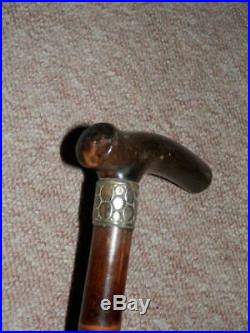 Antique Bamboo Walking Stick Bovine Horn Handle With Silver Spotted Collar