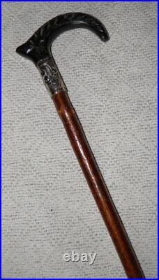 Antique Birch Walking Stick / Cane Goat Horn Derby Handle Silver Plated Collar