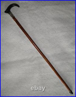 Antique Birch Walking Stick / Cane Goat Horn Derby Handle Silver Plated Collar