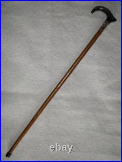 Antique Birch Walking Stick / Cane Goat Horn Derby Handle Silver Plated Collar