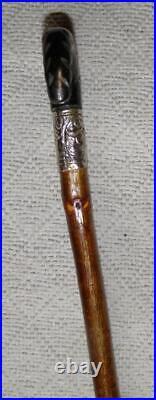 Antique Birch Walking Stick / Cane Goat Horn Derby Handle Silver Plated Collar