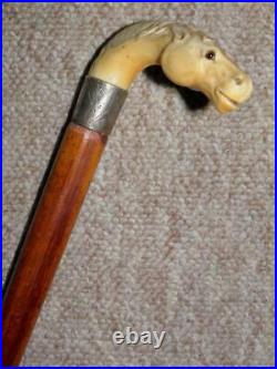 Antique Bovine Horn Horse Head WithGlass Eyes Walking Stick/Cane With Silver Collar