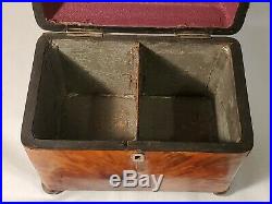 Antique Circa 1800 Double Tea Caddy with Horn Veneer and Silver Feet/name plate