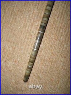 Antique Complete Bovine Horn Walking Stick/Cane With Silver Washers 86cm