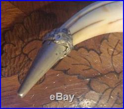 Antique Corkscrew, Horn Or Tusk With Sterling Silver Grape Vine Cap And Tip