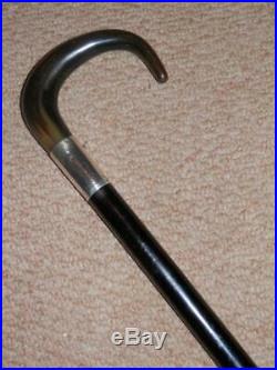 Antique Ebony Walking Stick With H/m Silver Collar & Bovine Horn Crook Handle