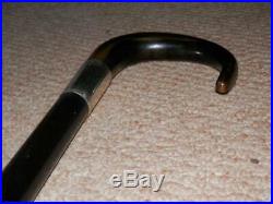 Antique Ebony Walking Stick With H/m Silver Collar & Bovine Horn Crook Handle
