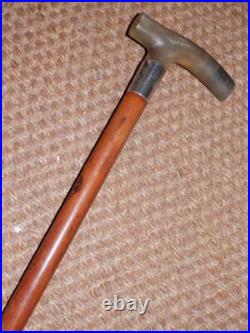 Antique Gents Walking Stick Bovine Horn Handle & Hallmarked 1912 Silver Collar