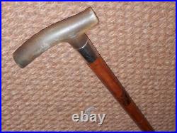 Antique Gents Walking Stick Bovine Horn Handle & Hallmarked 1912 Silver Collar