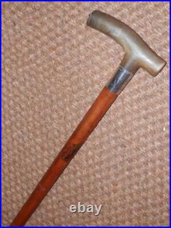 Antique Gents Walking Stick Bovine Horn Handle & Hallmarked 1912 Silver Collar