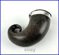 Antique Georgian Scottish Rams Horn Snuff Mull With Silver Mount Thistle