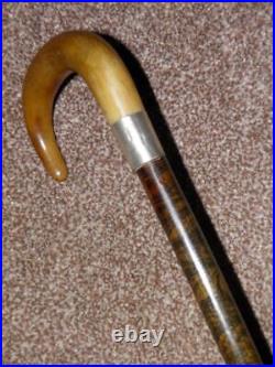 Antique Hallmarked 1928 Silver Wenge Wood Walking Cane With Bovine Horn Crook