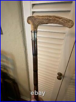 Antique Horn Handle Bamboo With Silver Band Walking Stick Cane. Ava 1800s