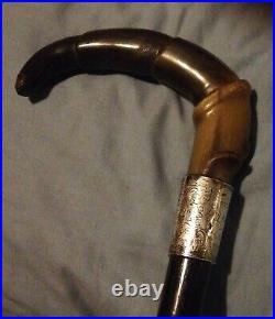 Antique Horn Handled Cane Silver Mount W Powell Hanley L & M Staff 1906