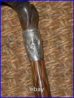 Antique Ladies Hallmarked 1911 Silver Crooked Bovine Horn Topped Dress Cane