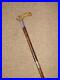 Antique-Ladies-Walking-Cane-With-Bovine-Horn-Handle-H-m-Silver-Collar-85cm-01-qiuy