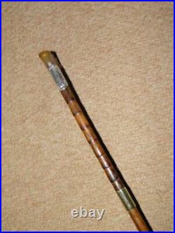 Antique Ladies Walking Cane With Bovine Horn Handle & H/m Silver Collar 85cm