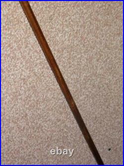 Antique Ladies Walking Cane With Bovine Horn Handle & H/m Silver Collar 85cm