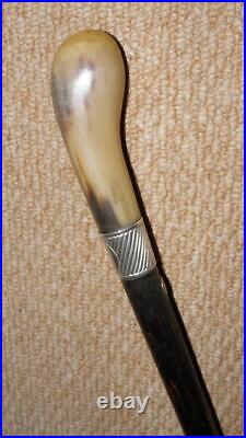 Antique Malaya BEE Walking Stick Bovine Horn & Hallmarked 1924 Silver By Howell