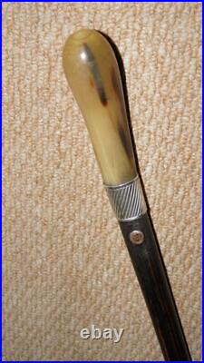 Antique Malaya BEE Walking Stick Bovine Horn & Hallmarked 1924 Silver By Howell