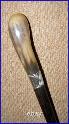 Antique Malaya BEE Walking Stick Bovine Horn & Hallmarked 1924 Silver By Howell