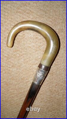 Antique Military Walking Stick Bovine Horn & Hallmarked 1925 Silver Col. Mitchell
