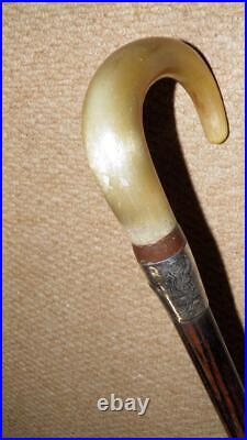 Antique Military Walking Stick Bovine Horn & Hallmarked 1925 Silver Col. Mitchell
