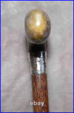Antique Palmwood Walking Stick / Cane Fritz Horn Handle Hallmarked 1912 Silver
