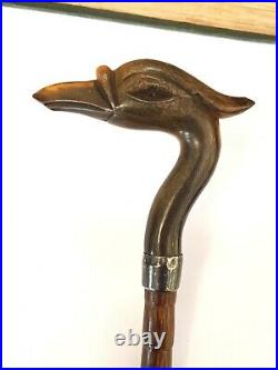 Antique-Silver/Rosewood Shaft Parasol With Scottish Horn Crane Bird Handle-c1910