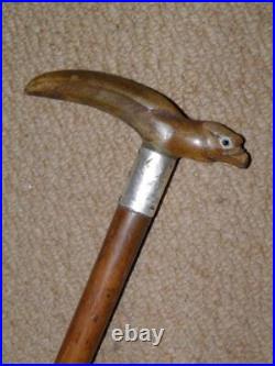 Antique Walking Stick Bovine Horn Bird Handle & Hallmarked 1929 Silver Collar