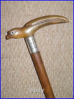 Antique Walking Stick Bovine Horn Bird Handle & Hallmarked 1929 Silver Collar