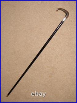 Antique Walking Stick Bovine Horn Crook & Hallmarked Silver 1910's Collar 90cm