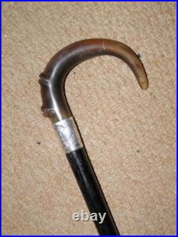 Antique Walking Stick Bovine Horn Crook Handle & Hallmarked 1911 Silver Collar