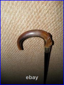 Antique Walking Stick Bovine Horn Crook Handle & Hallmarked 1911 Silver Collar