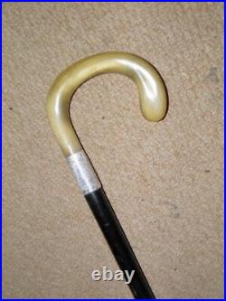 Antique Walking Stick Bovine Horn Crook Handle & Hallmarked 1919 Silver Collar