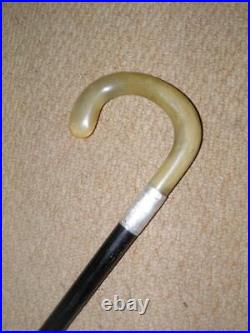 Antique Walking Stick Bovine Horn Crook Handle & Hallmarked 1919 Silver Collar