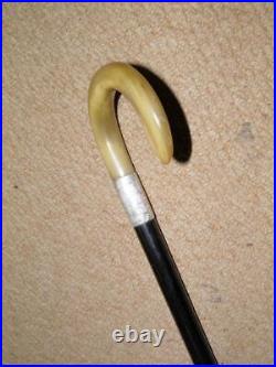 Antique Walking Stick Bovine Horn Crook Handle & Hallmarked 1919 Silver Collar