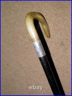 Antique Walking Stick Bovine Horn Crook Handle & Hallmarked 1919 Silver Collar