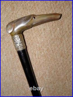 Antique Walking Stick Bovine Horn Greyhound Handle & Repousse Silver Collar