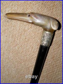 Antique Walking Stick Bovine Horn Greyhound Handle & Repousse Silver Collar