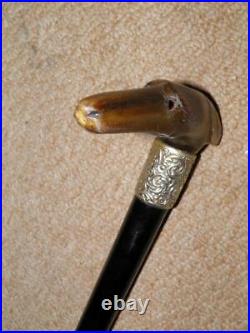 Antique Walking Stick Bovine Horn Greyhound Handle & Repousse Silver Collar