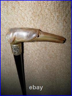 Antique Walking Stick Bovine Horn Greyhound Handle & Repousse Silver Collar